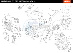 MARATHON-125-PRO-SM-WHITE drawing TANK-EXHAUST-ENGINE COMPLETE