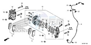 CRF1000AG CRF1000 - Africa Twin - ABS Europe Direct - (ED) drawing FRONT BRAKE CALIPER