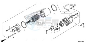 TRX500FE1F TRX500F Europe Direct - (ED) drawing STARTER MOTOR