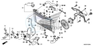 NC700DD INTEGRA E drawing RADIATOR