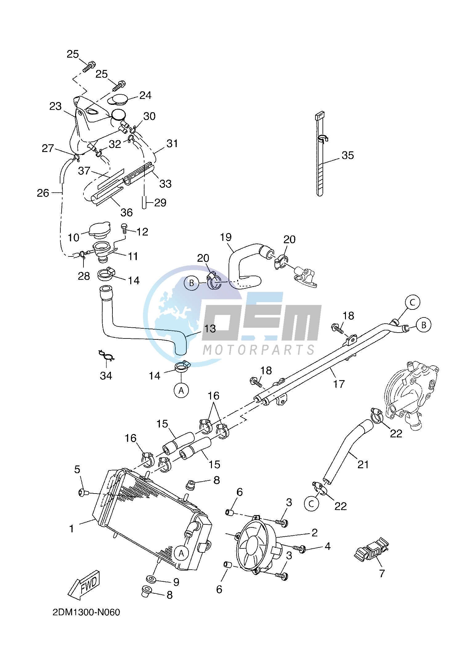 RADIATOR & HOSE