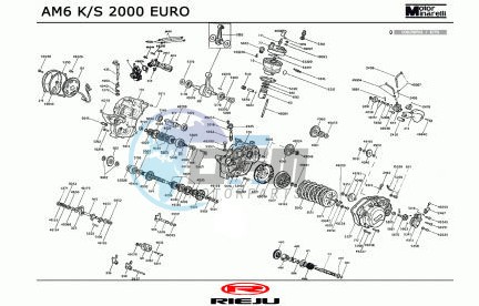 ENGINE  AM6 KS EURO 2000