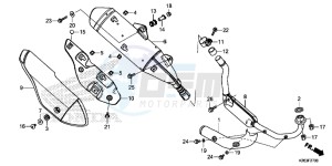 MSX125D MSX125 UK - (E) drawing EXHAUST MUFFLER