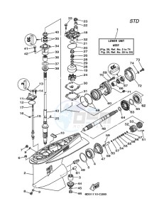 Z300TUR drawing LOWER-CASING-x-DRIVE-1