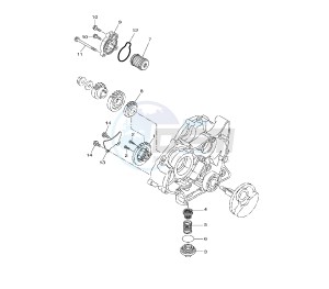 WR R 125 drawing OIL PUMP