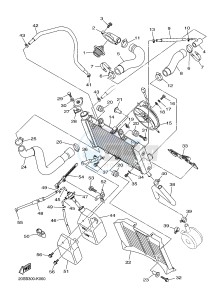 XJ6N 600 XJ6-N (NAKED) (20SK) drawing RADIATOR & HOSE