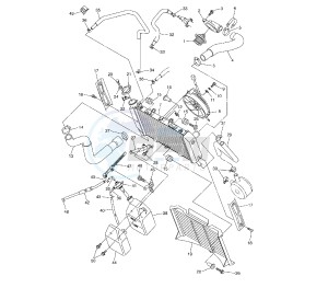 FZ6 FAZER S2 600 drawing RADIATOR AND HOSE