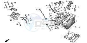 NV600C 400 drawing CYLINDER HEAD (FRONT)