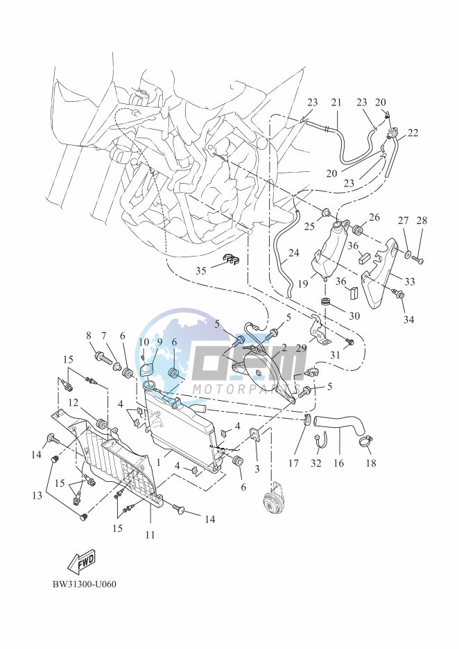 RADIATOR & HOSE