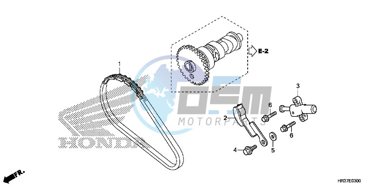 CAM CHAIN/TENSIONER