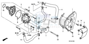 CB600F3A Europe Direct - (ED / ST) drawing WATER PUMP