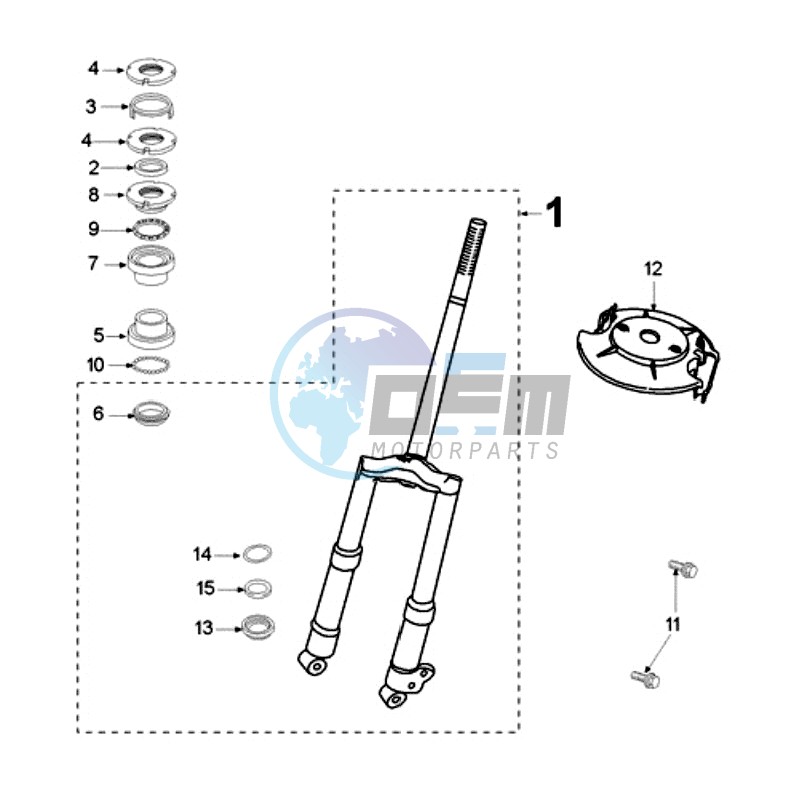 FRONT FORK AND STEERINGHEAD PAIOLI