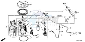 TRX500FM5G TRX500FM Australia - (U) drawing FUEL PUMP