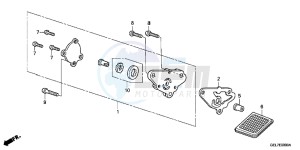 CRF50FE CRF50F Europe Direct - (ED) drawing OIL PUMP