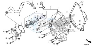 NSS300D Forza - NSS300D UK - (E) drawing RIGHT CRANKCASE COVER/ WATER PUMP