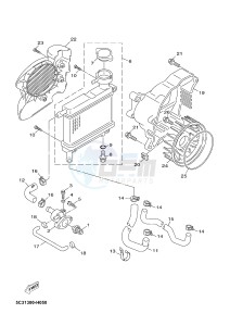 YN50FM NEO'S 4 (2CG4 2CG4) drawing RADIATOR & HOSE