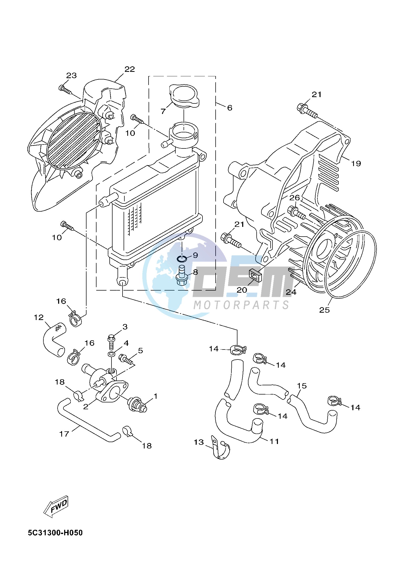 RADIATOR & HOSE