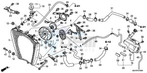 CBR1000RRD Fireblade - CBR1000RR UK - (E) drawing RADIATOR