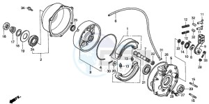 TRX300FW FOURTRAX 300 4X4 drawing REAR BRAKE PANEL