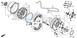 TRX420TM1F TRX420 Europe Direct - (ED) drawing REAR BRAKE PANEL