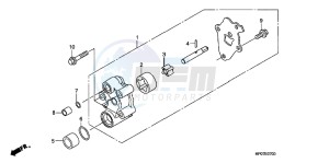 TRX500FPMB drawing OIL PUMP