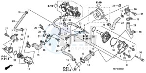 FJS400D9 F / CMF drawing WATER PUMP