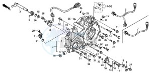 TRX420FM FOURTRAX drawing REAR CRANKCASE COVER