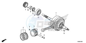 MSX125E MSX125 UK - (E) drawing CRANKSHAFT/ PI STON