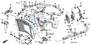 CBR600RA9 Europe Direct - (ED / ABS) drawing RADIATOR