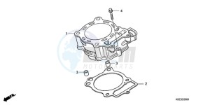 CRF150RB9 Europe Direct - (ED / T19 2ED) drawing CYLINDER