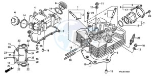 TRX500FPE9 Australia - (U / PS) drawing CYLINDER HEAD