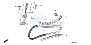 SH300AR9 Europe Direct - (ED / ABS SPC) drawing CAM CHAIN