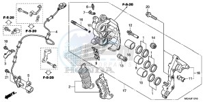 VFR1200X Europe Direct - (ED) drawing R. FRONT BRAKE CALIPER