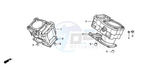 XL650V TRANSALP drawing CYLINDER