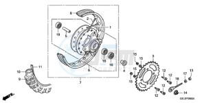 CRF50F9 Europe Direct - (ED) drawing REAR WHEEL