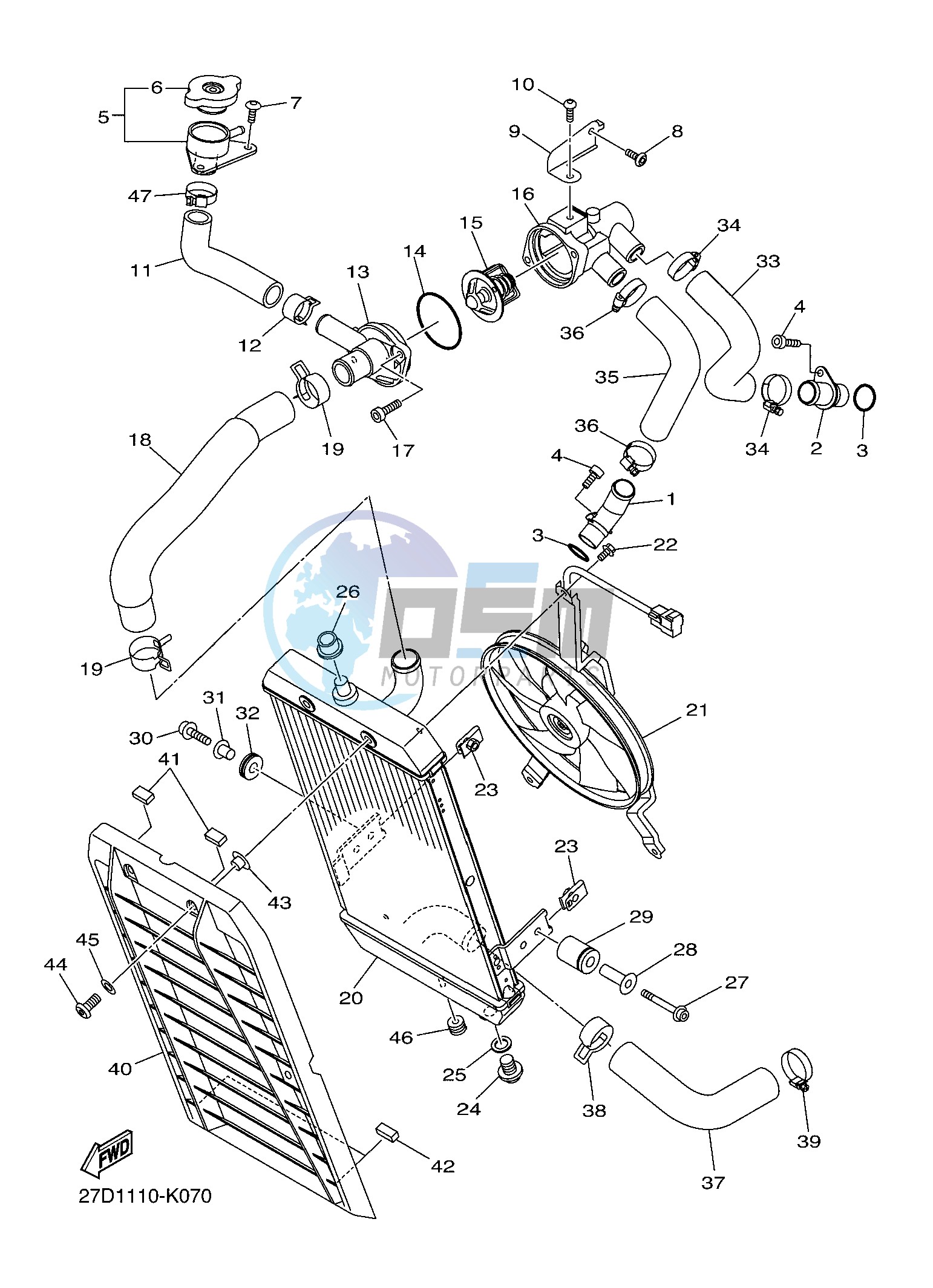 RADIATOR & HOSE