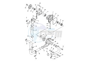 YZF-R1SP 1000 drawing WATER PUMP