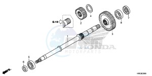 TRX500FM5G TRX500FM Australia - (U) drawing FINAL SHAFT