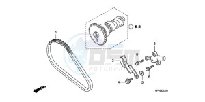 TRX420TM9 Australia - (U / 2WD) drawing CAM CHAIN/TENSIONER