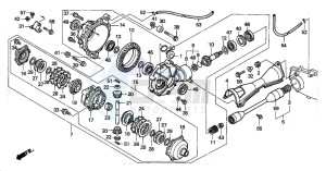 TRX300FW FOURTRAX 300 4X4 drawing FRONT FINAL GEAR