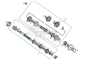 DXR QUAD - 200 cc drawing TRANSMISSION