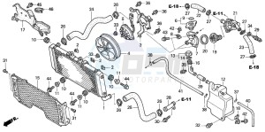 CB1300 CB1300SUPER FOUR drawing RADIATOR (CB1300/F/F1/S)