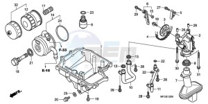 CB600FA Europe Direct - (ED / 25K) drawing OIL PAN/OIL PUMP