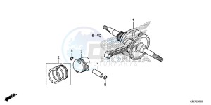 WW125EX2F PCX125 - WW125 UK - (E) drawing CRANKSHAFT/PISTON