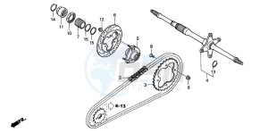 TRX300EX SPORTRAX 300EX drawing REAR WHEEL AXLE/ DRIVE CHAIN