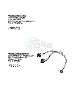 FIGHT 4 50 4T DARKSIDE drawing PLUG WIRING HARNESS