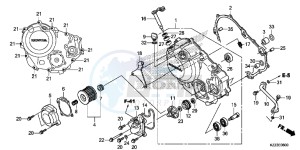 CRF250MF CRF250M UK - (E) drawing RIGHT CRANKCASE COVER