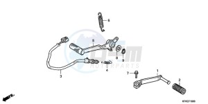 VTR2509 Europe Direct - (ED / LL) drawing PEDAL