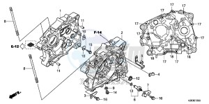 CRF125FE CRF125F Europe Direct - (ED) drawing CRANKCASE