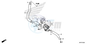 CBR1000S1H 2ED - (2ED) drawing AIR INJECTION CONTROL VALVE